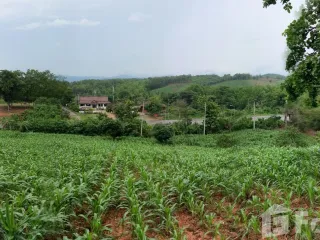 For sale land in Thung Chang, Nan