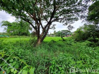 For sale land in San Sai, Chiang Mai