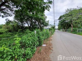 For sale land in San Sai, Chiang Mai