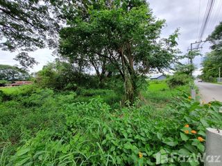 For sale land in San Sai, Chiang Mai