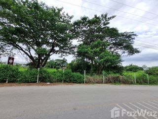For sale land in San Sai, Chiang Mai