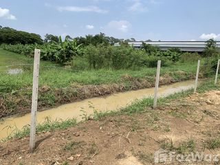 出售 土地 在 Mueang Chiang Mai, Chiang Mai