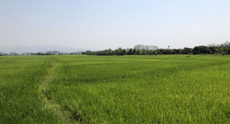 Terreno en venta en Mae Rim, Chiang Mai