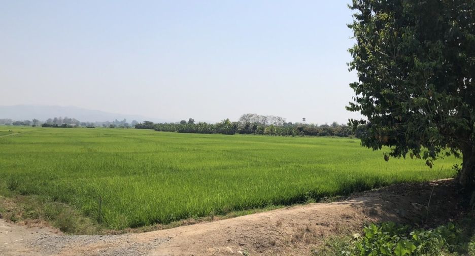 Terreno en venta en Mae Rim, Chiang Mai