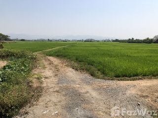 Terreno en venta en Mae Rim, Chiang Mai