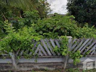 For sale land in San Sai, Chiang Mai
