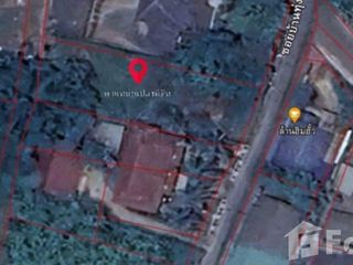 For sale land in San Sai, Chiang Mai
