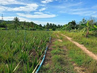 Grundstück zum Kauf in Hua Hin, Prachuap Khiri Khan