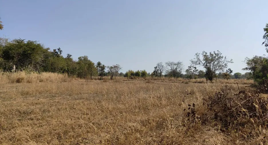 For sale land in Wanon Niwat, Sakon Nakhon