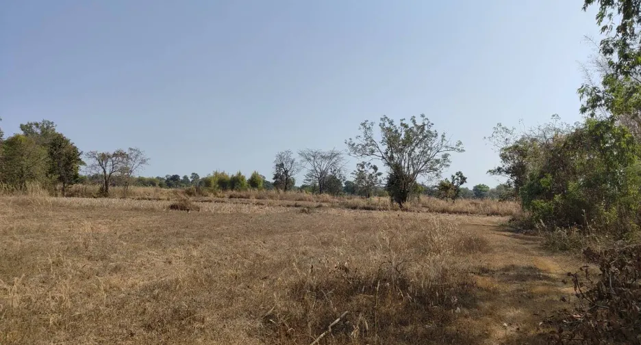 For sale land in Wanon Niwat, Sakon Nakhon