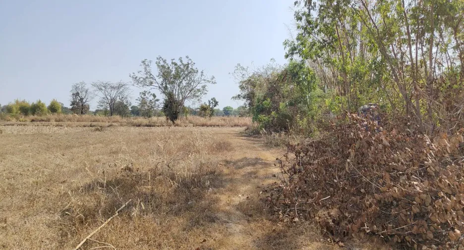 For sale land in Wanon Niwat, Sakon Nakhon