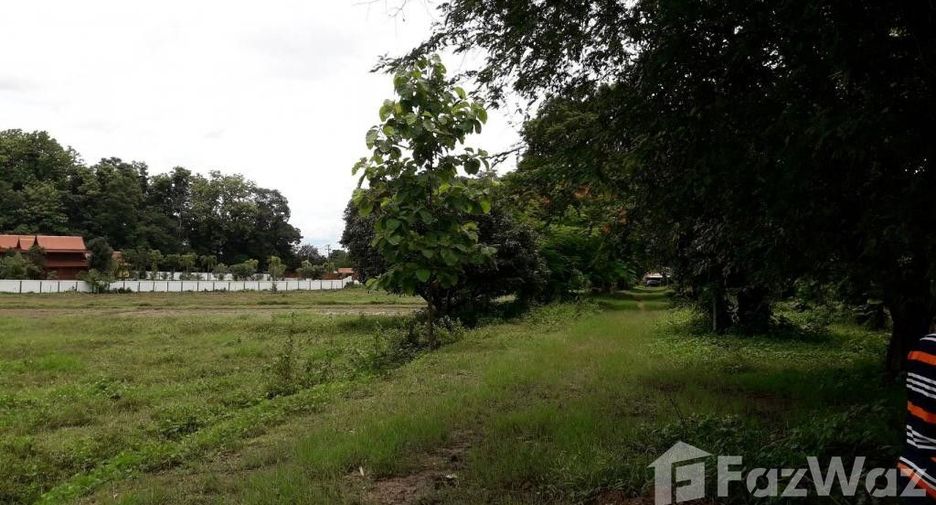 For sale land in San Kamphaeng, Chiang Mai