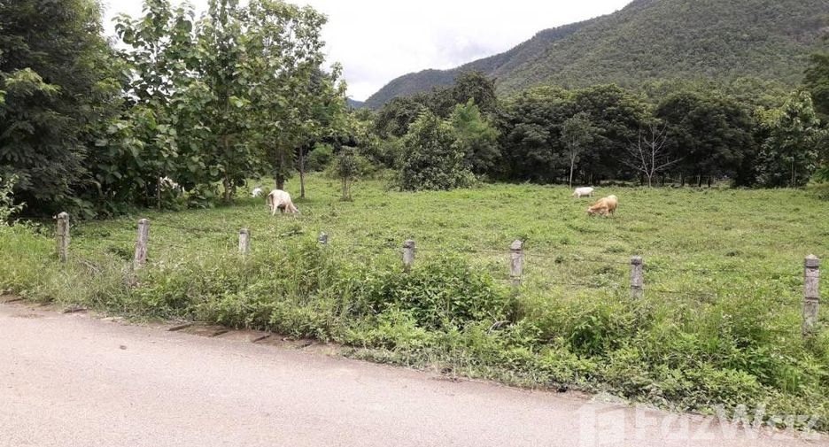 For sale land in San Kamphaeng, Chiang Mai