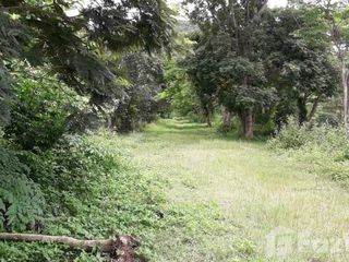 For sale land in San Kamphaeng, Chiang Mai