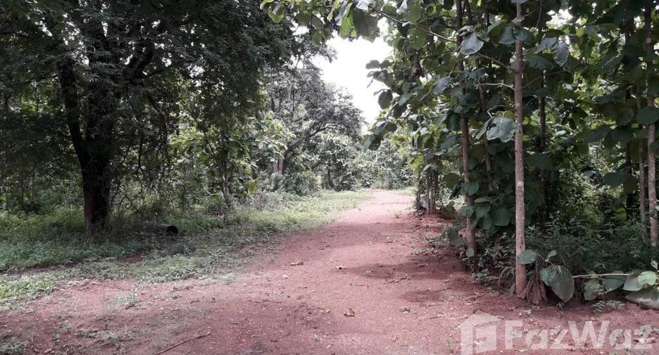 For sale land in San Kamphaeng, Chiang Mai
