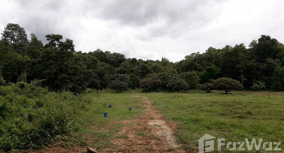 For sale land in San Kamphaeng, Chiang Mai