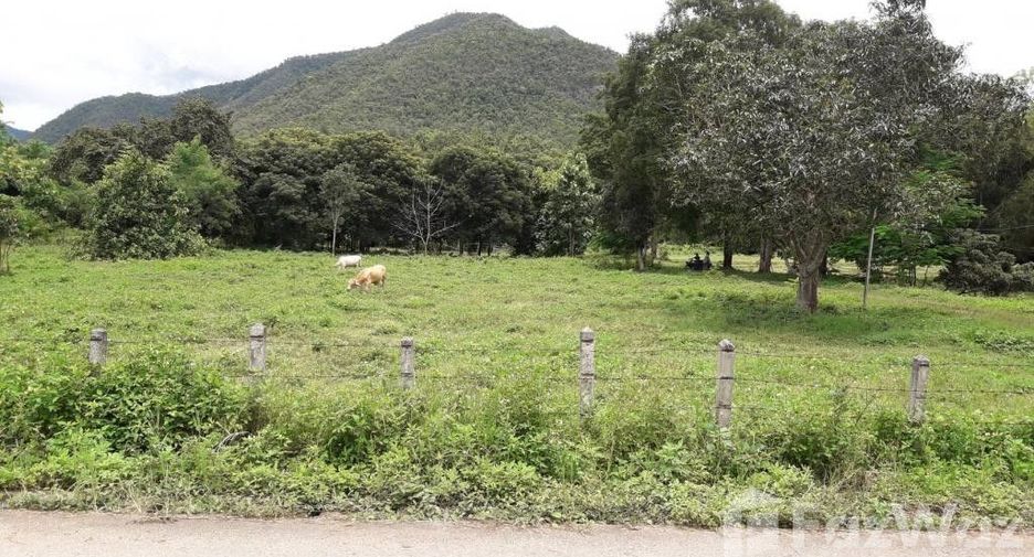 For sale land in San Kamphaeng, Chiang Mai