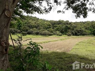 Terreno en venta en San Kamphaeng, Chiang Mai