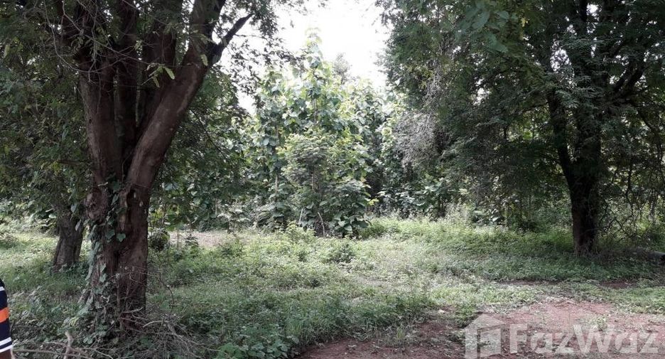 For sale land in San Kamphaeng, Chiang Mai