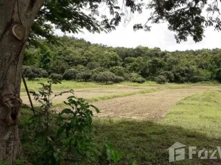 For sale land in San Kamphaeng, Chiang Mai