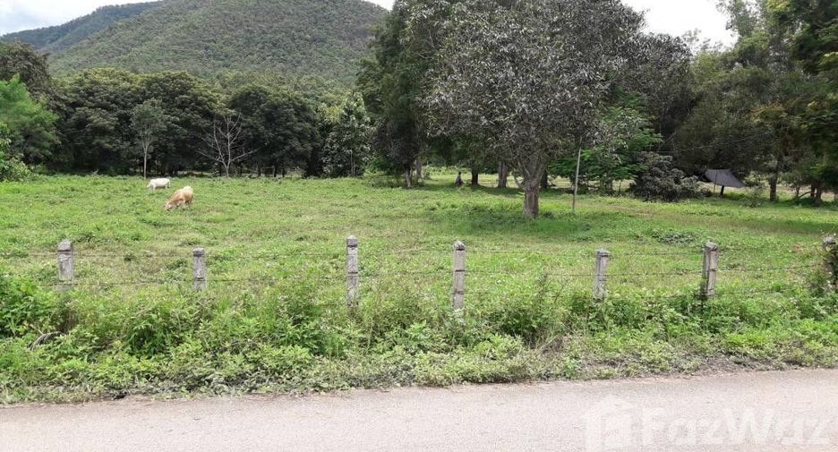 For sale land in San Kamphaeng, Chiang Mai