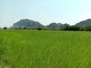 Haus zum Kauf mit 3 Zimmer in Cha Am, Phetchaburi