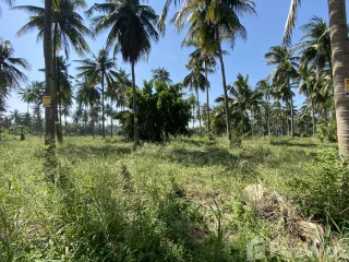 For sale land in Bang Saphan, Prachuap Khiri Khan