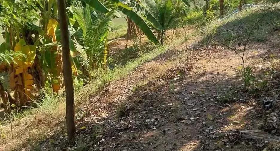 Terreno en venta en Mueang Lampang, Lampang