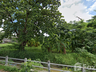 出售 土地 在 Saraphi, Chiang Mai