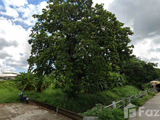 出售 土地 在 Saraphi, Chiang Mai