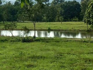 For sale land in Mae Taeng, Chiang Mai