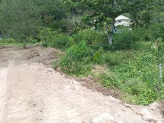 出售 土地 在 Kathu, 普吉