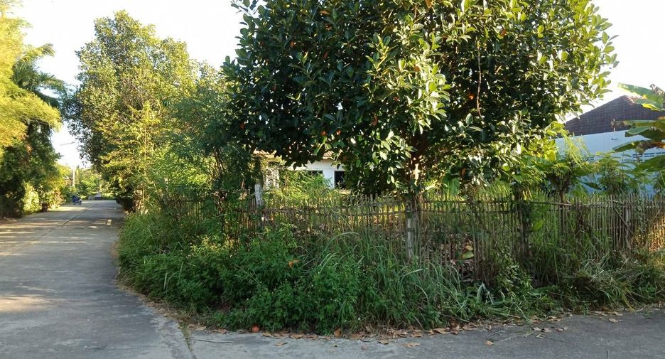 For sale 3 bedrooms house in Doi Saket, Chiang Mai