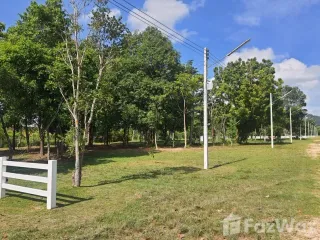ขาย ที่ดิน ใน นาจอมเทียน, พัทยา