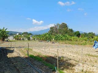 出售 土地 在 Hang Dong, Chiang Mai