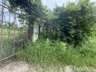 出售 土地 在 华欣, 班武里府
