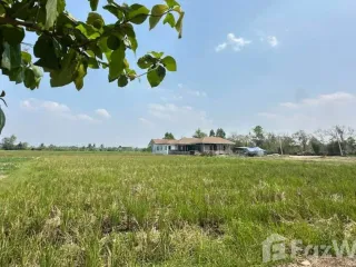 出售 土地 在 Doi Saket, Chiang Mai