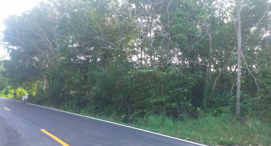 For sale land in Ko Chang, Trat