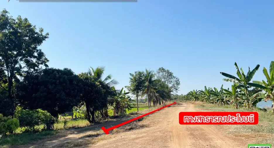 À vendre terrain à Tron, Uttaradit
