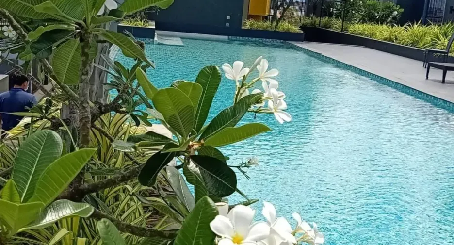 For rent 1 bed condo in Bang Lamung, Chonburi