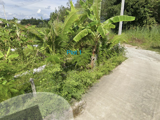 For sale land in Thalang, Phuket