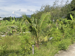 For sale land in Thalang, Phuket