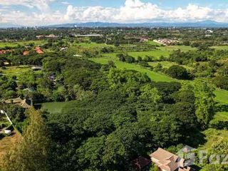 出售 土地 在 Saraphi, Chiang Mai