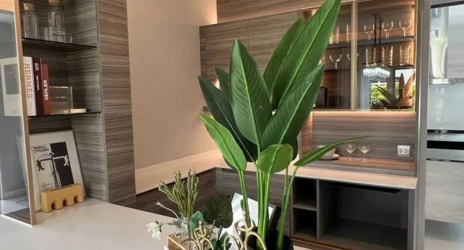 Haus zum Kauf mit 4 Zimmer in San Sai, Chiang Mai
