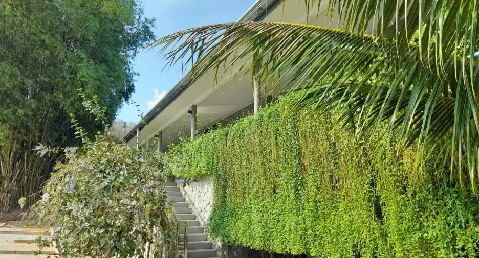 出售 土地 在 Phuket Town, 普吉