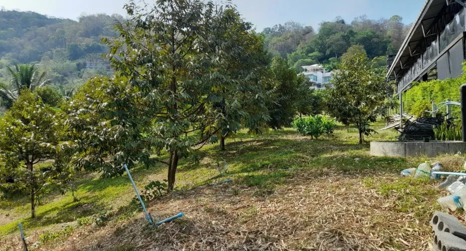 出售 土地 在 Phuket Town, 普吉