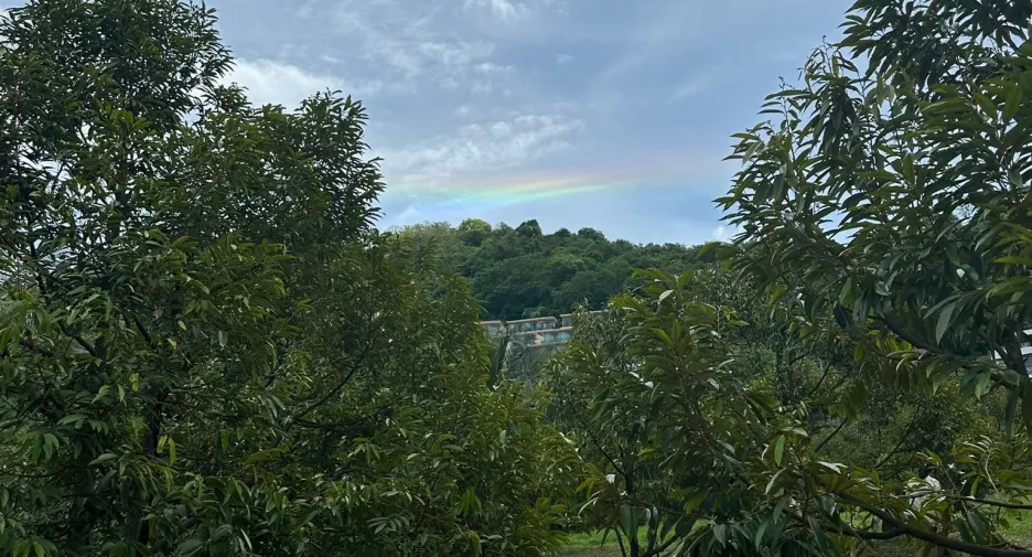 出售 土地 在 Phuket Town, 普吉