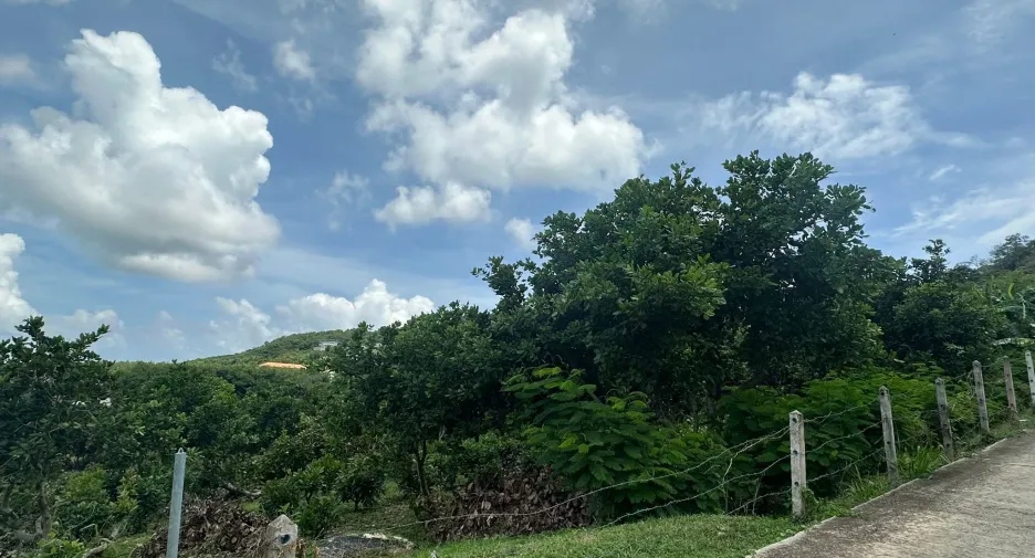 出售 土地 在 Phuket Town, 普吉