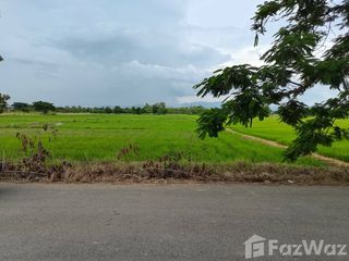 出售 土地 在 San Kamphaeng, Chiang Mai