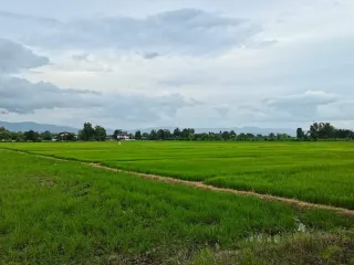 Terreno en venta en San Kamphaeng, Chiang Mai